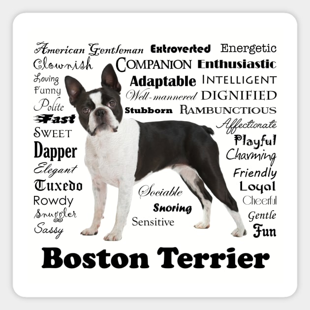 Boston Terrier Traits Magnet by You Had Me At Woof